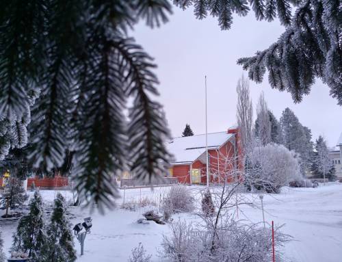 Uutiskirje helmikuu 2026